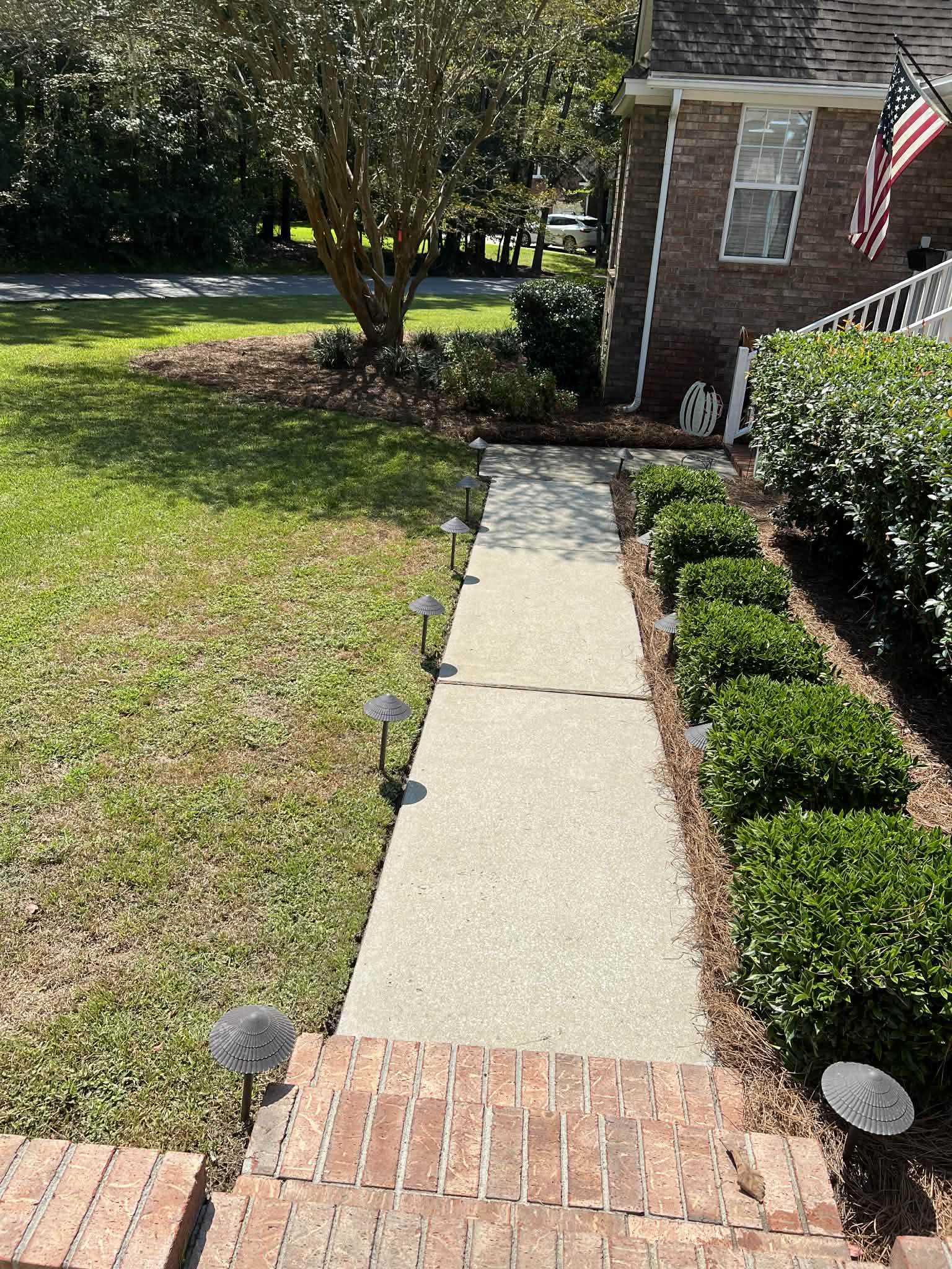 Clean, restored sidewalk after professional pressure washing