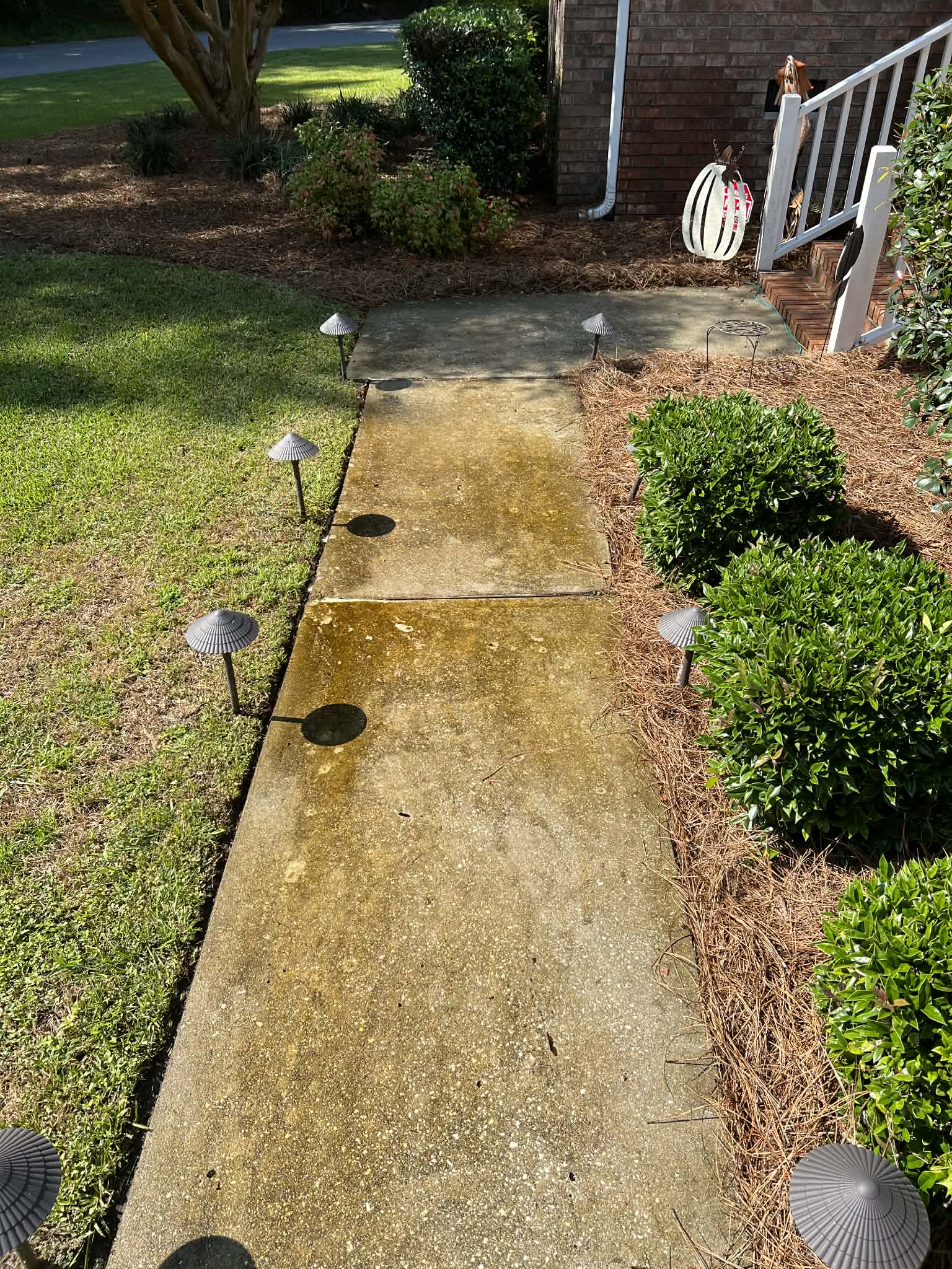 Dirty, stained sidewalk before professional cleaning